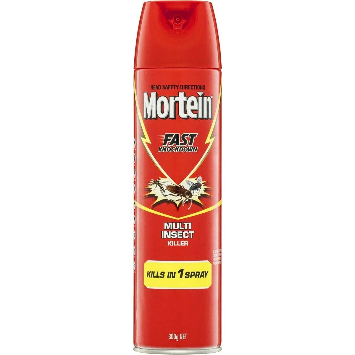 Mortein Fast Knockdown Multi Insect Killer 300g